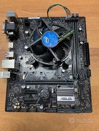 Scheda Madre ASUS PRIME H310M-A R2.0 + Processore