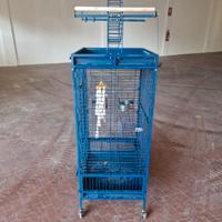gabbia per uccelli 
