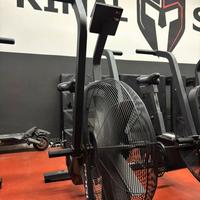 Rogue Echo Bike V2