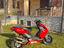 Immagine 6