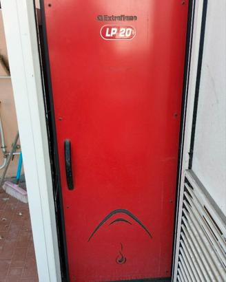CALDAIA A PELLET TERMOPELLET LP20