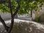 Immagine 19