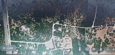 Bosco 4 ettari M Franca San Paolo