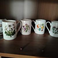 tazze inglesi botanic garden 