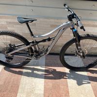 MTB IBIS