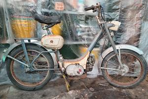Benelli gentleman 