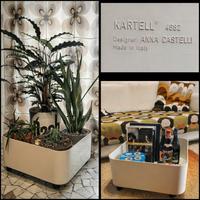 Kartell fioriera contenitore 4682 Anna Castelli