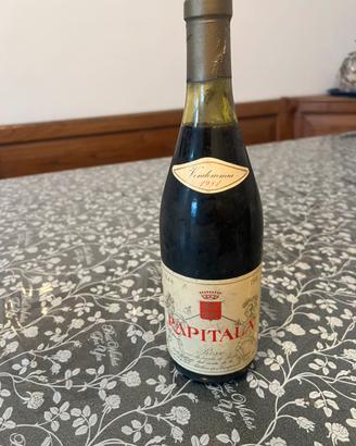Rapitalà 1981