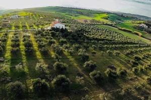 Terreno Agricolo di 16246 mq - con Tartufaia