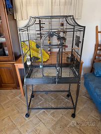 Gabbia per Pappagalli
