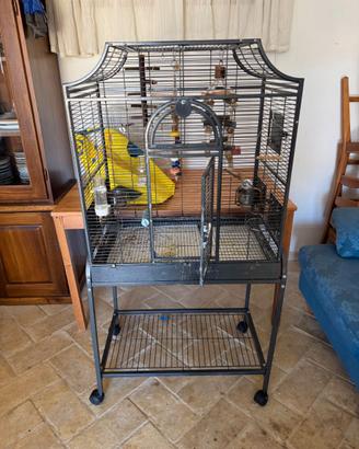 Gabbia per Pappagalli