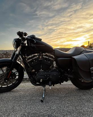 Harley Davidson 883 Iron MY2009