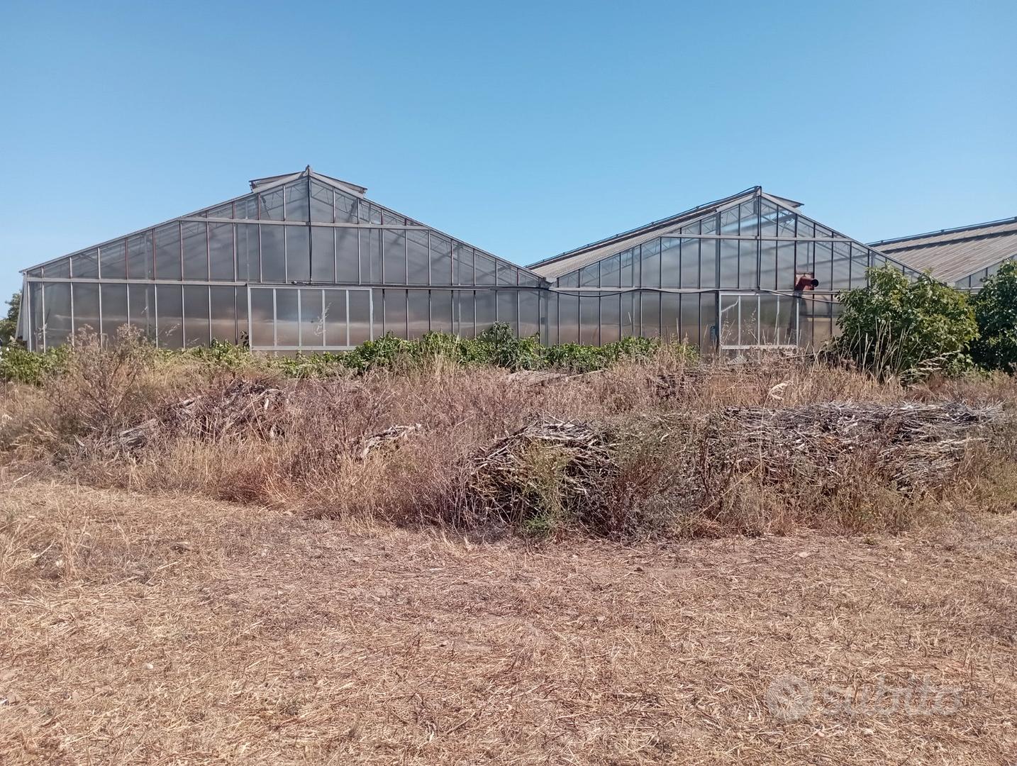 Serre + terreno agricolo - Altro