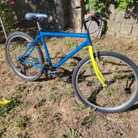 Mountain Bike 24