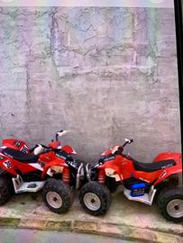Quad peg perego