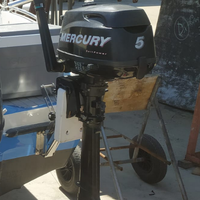 Mercury 5hp sail power