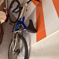 Bicicletta