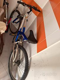 Bicicletta