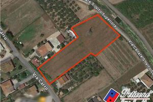 Terreno agricolo - Monte San Biagio