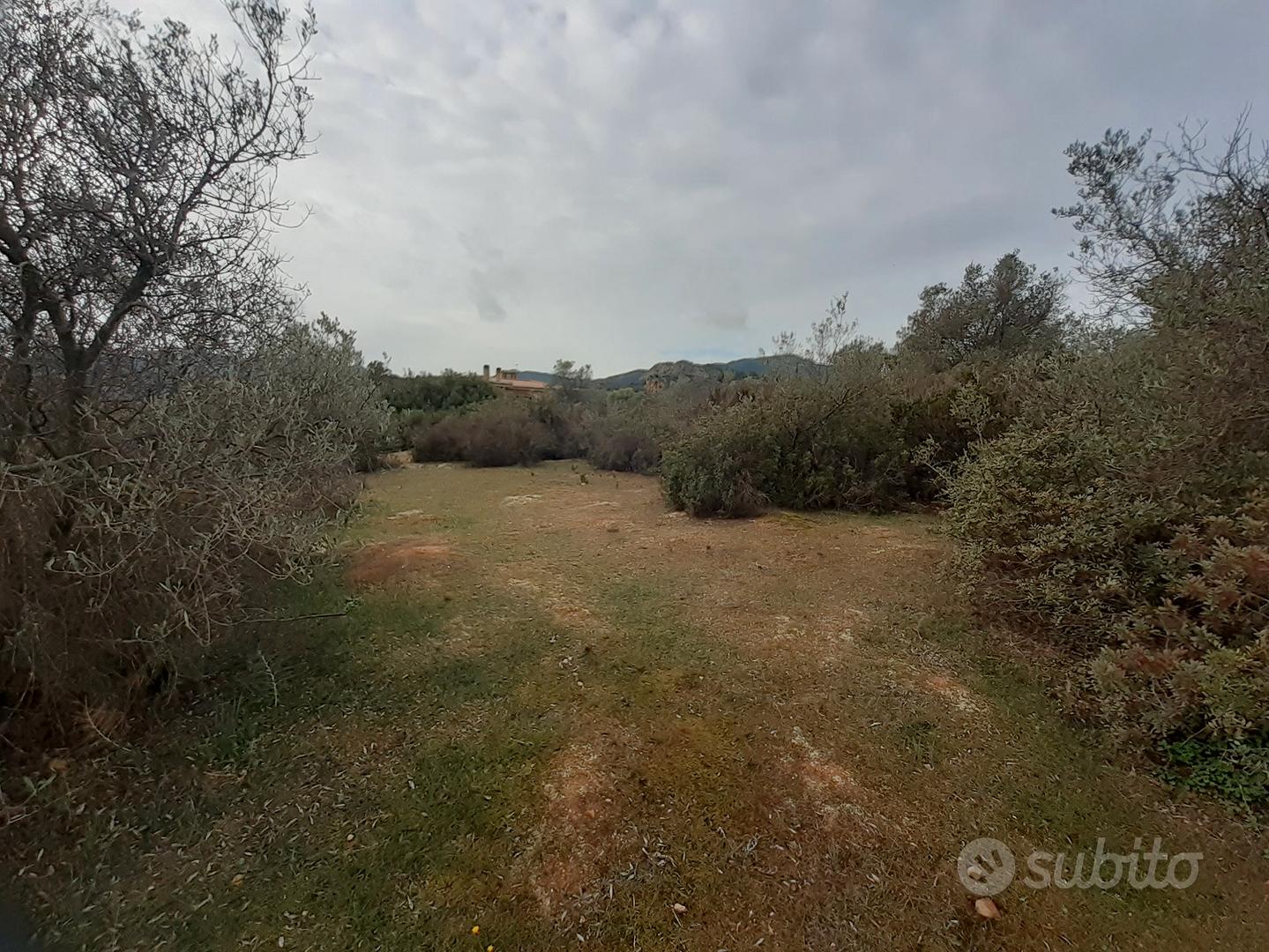 Terreno 2000 mq pianeggiante - Vista 4