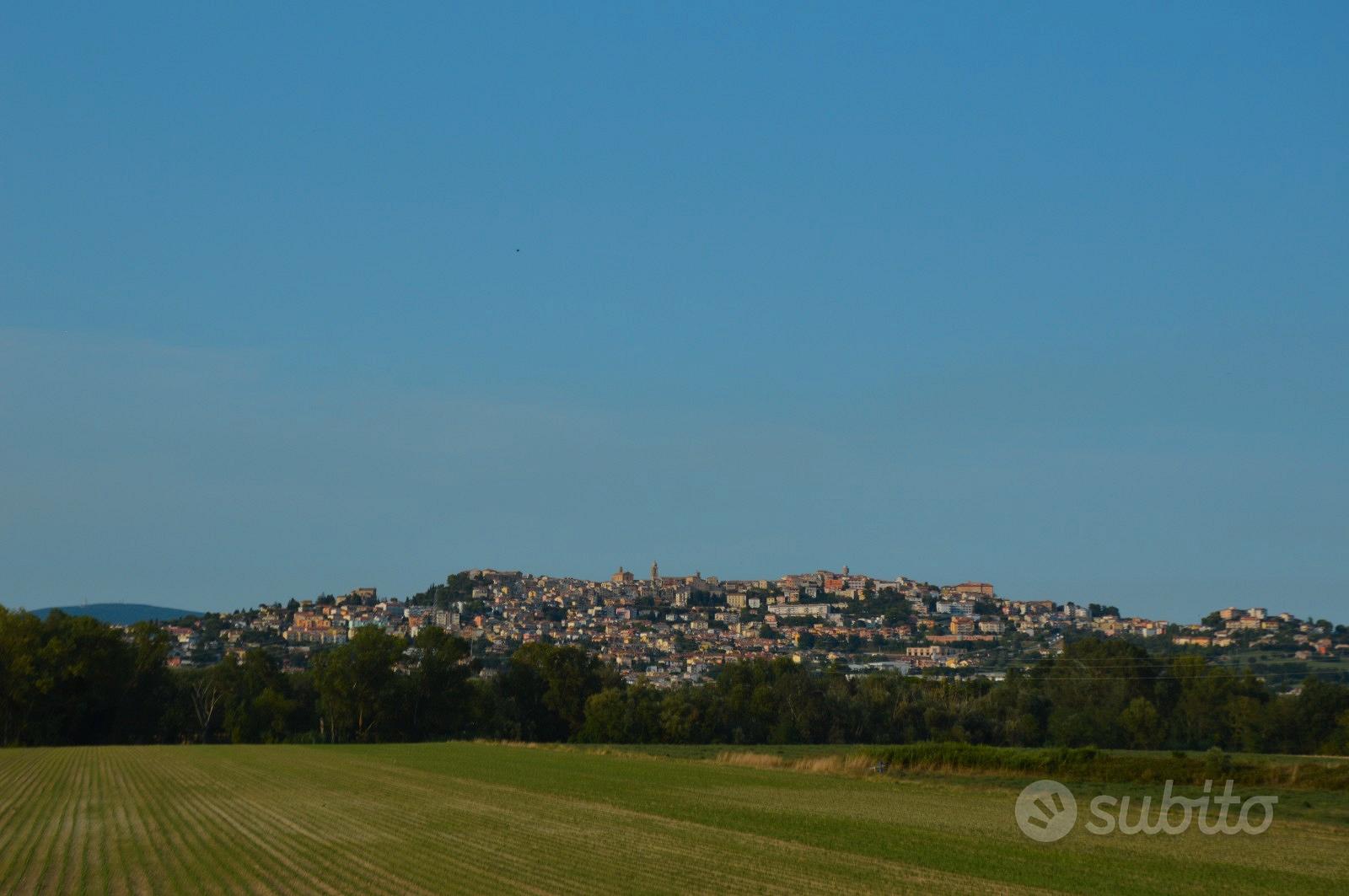 Terreno agricolo cod. N.828 - Vista 3