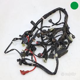 Impianto elettrico YAMAHA TRACER 700