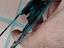 Immagine 6