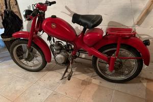 Motom 48 anno 1961
