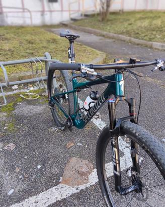 Specialized World Cup