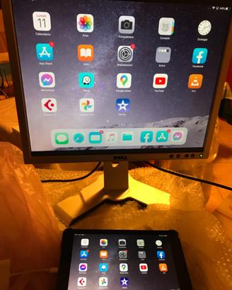 Monitor 19"
