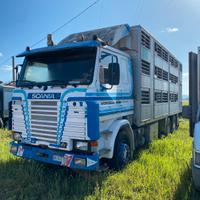 SCANIA 142H trasporto bestiame, animali vivi