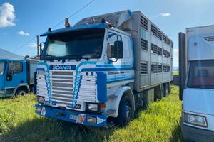 SCANIA 142H trasporto bestiame, animali vivi