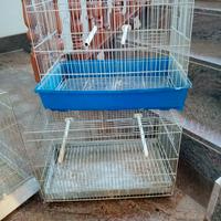 n. 5 gabbie per uccelli