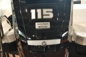 Fuoritutto motore Mercury 115 cv NUOVO