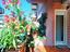 Immagine 20