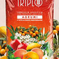 terriccio per agrumi