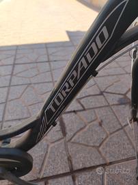bicicletta donna