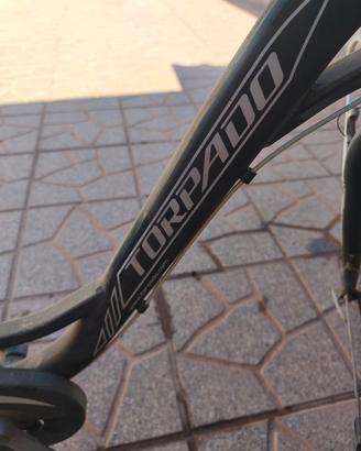 bicicletta donna