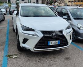 LEXUS NX 1ª serie - 2019 (Permuta/Trattabile)