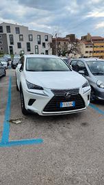 LEXUS NX 1ª serie - 2019 (Permuta/Trattabile)