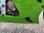 Immagine 6
