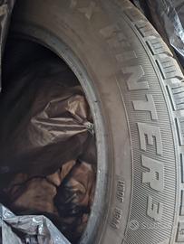 Gomme Invernali 205/55 R16