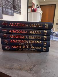 Manuale Anatomia Umana Anastasi
