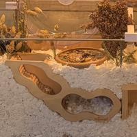 Nascondiglio per criteci