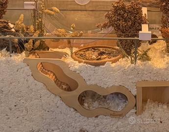 Nascondiglio per criteci