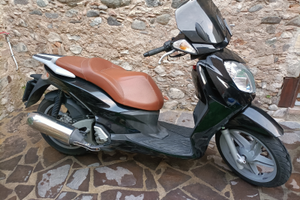 Malaguti password 250