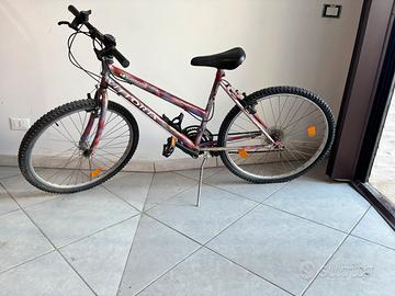 Monuntain bike bambina 24”