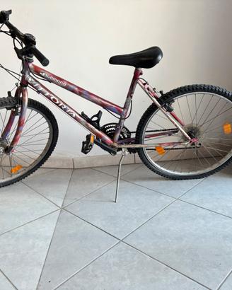 Monuntain bike bambina 24”