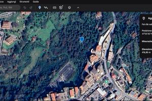 Uliveto con rudere