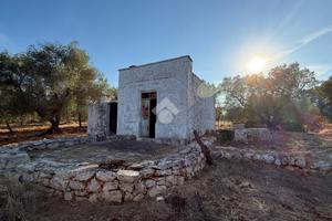 RUSTICO A CEGLIE MESSAPICA